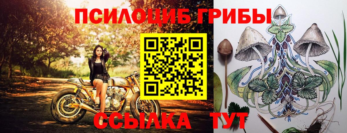 Псилоцибиновые грибы MAGIC MUSHROOMS  Галлюциногенные грибы Cubensis  Асбест  Вход с VPN 